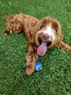 Fundraising Page Image