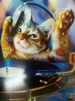 Fundraising Page Image