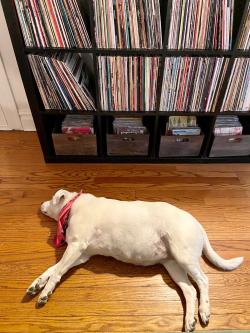 Fundraising Page Image