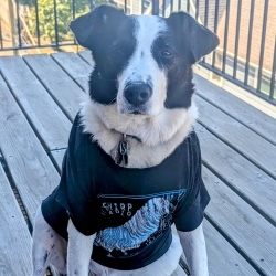 Fundraising Page Image