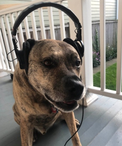 Fundraising Page Image