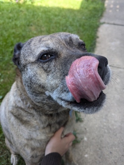 Fundraising Page Image