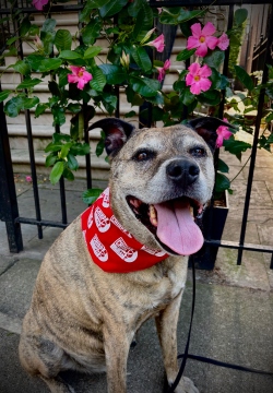 Fundraising Page Image